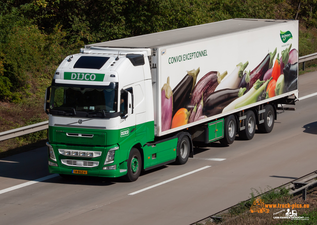 Trucks & Trucking 2021#ClausWieselPhotoPerformance View from a bridge 2021 powered by ww.truck-pics.eu & www.lkw-fahrer-gesucht.com, #truckpicsfamily