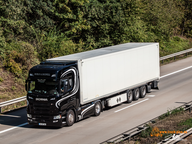 Trucks & Trucking 2021#ClausWieselPhotoPerformance View from a bridge 2021 powered by ww.truck-pics.eu & www.lkw-fahrer-gesucht.com, #truckpicsfamily