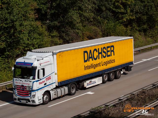 Trucks & Trucking 2021#ClausWieselPhotoPerformance View from a bridge 2021 powered by ww.truck-pics.eu & www.lkw-fahrer-gesucht.com, #truckpicsfamily