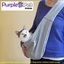 Purchase Cat Sling Carrier ... - Purple Pet Iprimio