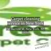 Carpet cleaning service in New York