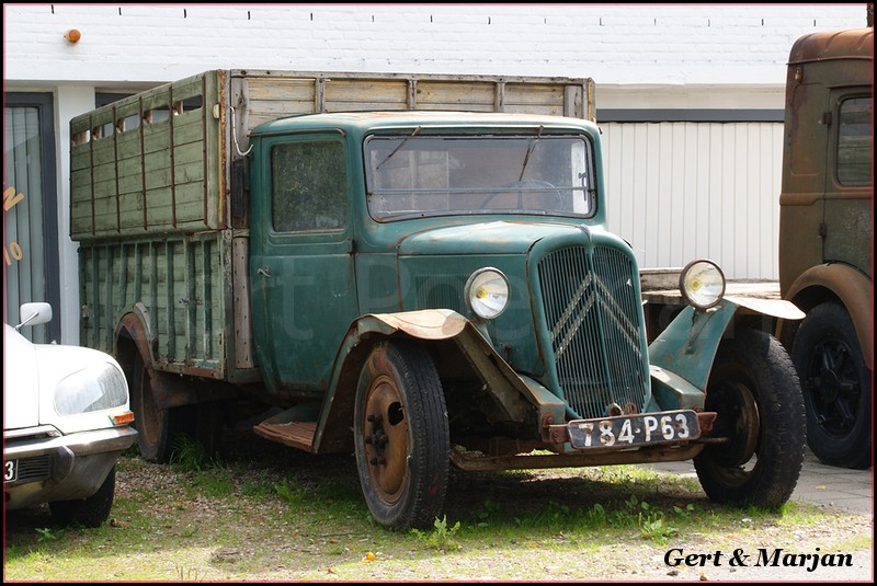 CitroÃ«n - brons (1)-BorderMaker - 