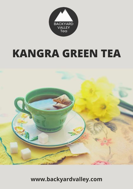 Kangra Green Tea Backyard Valley Tea
