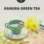 Kangra Green Tea - Backyard Valley Tea
