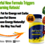 One Shot Keto Reviews Lates... - Picture Box