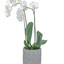 Mothers Day Flowers Minneto... - Florist in Minnetonka, MN