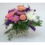 Fresh Flower Delivery India... - Florist in Indianapolis, IN