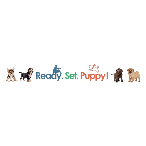 ReadySetPuppy Picture Box
