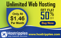 Web Hosting Services With Free Domain Name and 24* Sarp Tech