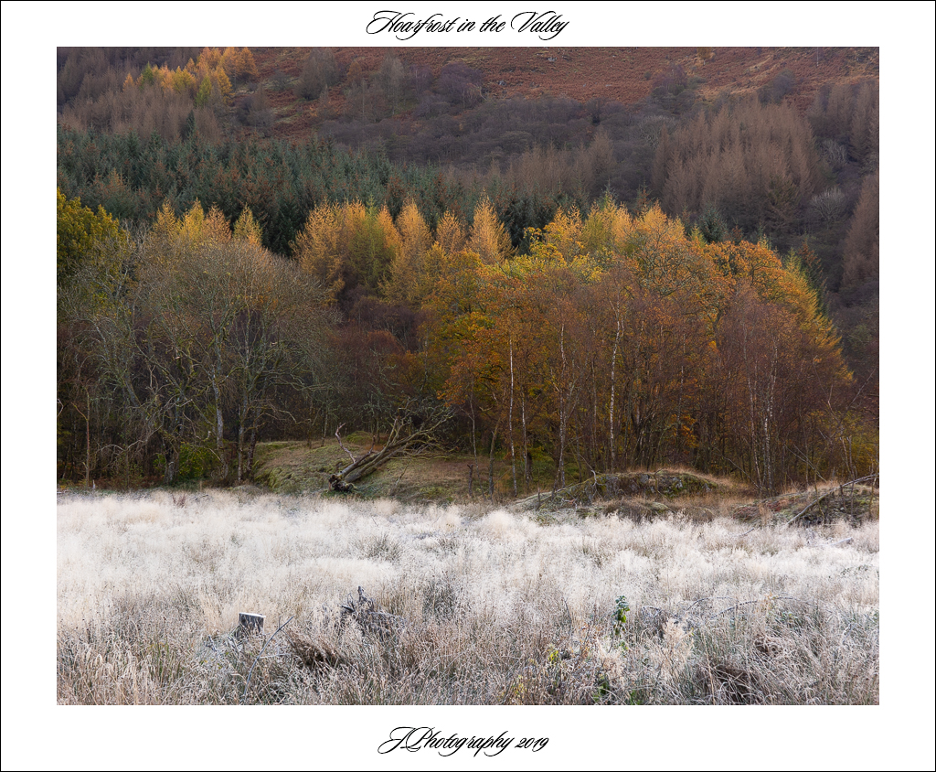  DSC0604 Hoarfrost in the valley - 