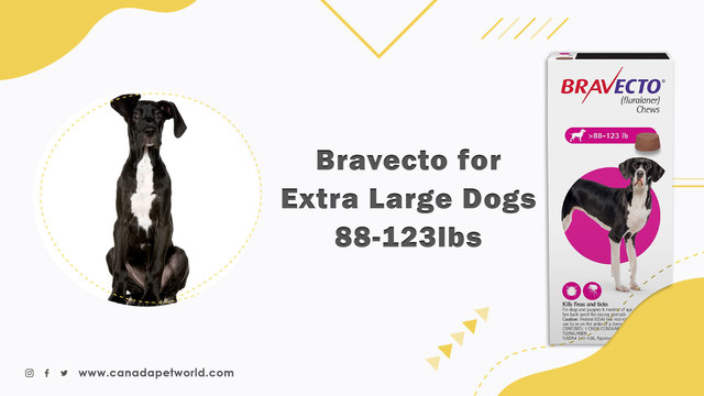 Bravecto Chewable for Extra Large Dogs(Pink)-IMAGE Images