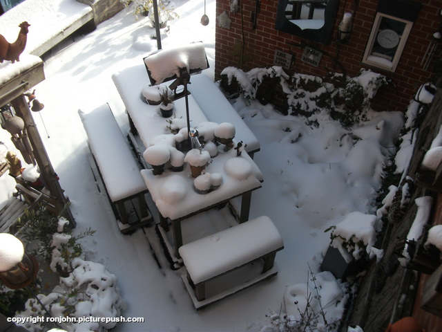 Besneeuwde achtertuin 09-02-21 5 In de tuin 2022