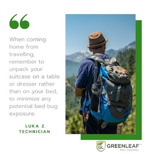 Best Pest Control Company Ontario GreenLeaf Pest Control