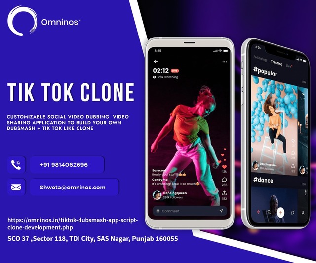 TikTok Clone APP Development | Omninos Solutions Picture Box