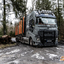 www.bsd-wald.de, www.lkw-fa... - BSD - Wald & Holz #truckpicsfamily, Longline MAN & Longline VOLVO