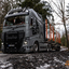 www.bsd-wald.de, www.lkw-fa... - BSD - Wald & Holz #truckpicsfamily, Longline MAN & Longline VOLVO