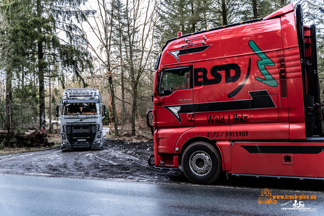 www.bsd-wald.de, www.lkw-fahrer-gesucht.de-13 BSD - Wald & Holz #truckpicsfamily, Longline MAN & Longline VOLVO