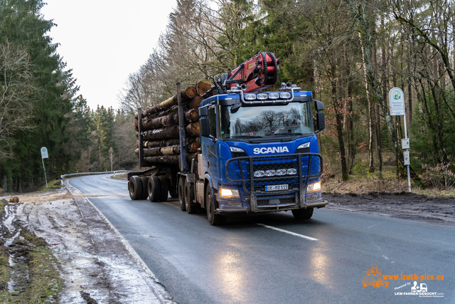 www.bsd-wald.de, www.lkw-fahrer-gesucht.de-14 BSD - Wald & Holz #truckpicsfamily, Longline MAN & Longline VOLVO