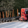 www.bsd-wald.de, www.lkw-fa... - BSD - Wald & Holz #truckpic...