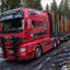 www.bsd-wald.de, www.lkw-fa... - BSD - Wald & Holz #truckpicsfamily, Longline MAN & Longline VOLVO