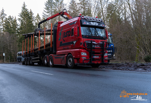 www.bsd-wald.de, www.lkw-fahrer-gesucht.de-17 BSD - Wald & Holz #truckpicsfamily, Longline MAN & Longline VOLVO