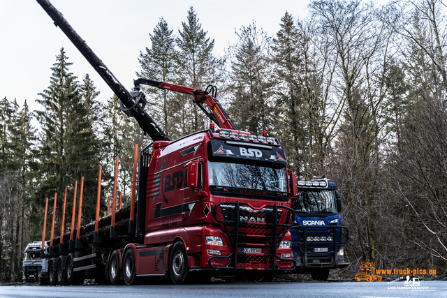 www.bsd-wald.de, www.lkw-fahrer-gesucht.de-18 BSD - Wald & Holz #truckpicsfamily, Longline MAN & Longline VOLVO