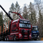 www.bsd-wald.de, www.lkw-fa... - BSD - Wald & Holz #truckpicsfamily, Longline MAN & Longline VOLVO