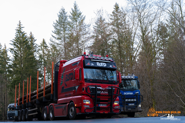 www.bsd-wald.de, www.lkw-fahrer-gesucht.de-20 BSD - Wald & Holz #truckpicsfamily, Longline MAN & Longline VOLVO