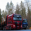 www.bsd-wald.de, www.lkw-fa... - BSD - Wald & Holz #truckpicsfamily, Longline MAN & Longline VOLVO