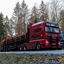 www.bsd-wald.de, www.lkw-fa... - BSD - Wald & Holz #truckpicsfamily, Longline MAN & Longline VOLVO