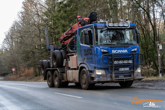 www.bsd-wald.de, www.lkw-fahrer-gesucht.de-25 BSD - Wald & Holz #truckpicsfamily, Longline MAN & Longline VOLVO