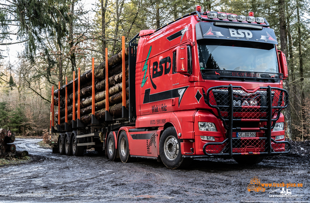 www.bsd-wald.de, www.lkw-fahrer-gesucht.de-32 BSD - Wald & Holz #truckpicsfamily, Longline MAN & Longline VOLVO