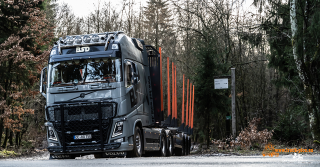 www.bsd-wald.de, www.lkw-fahrer-gesucht.de-33 BSD - Wald & Holz #truckpicsfamily, Longline MAN & Longline VOLVO