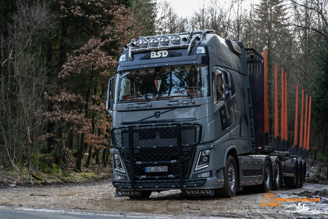 www.bsd-wald.de, www.lkw-fahrer-gesucht.de-34 BSD - Wald & Holz #truckpicsfamily, Longline MAN & Longline VOLVO