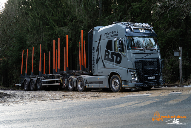 www.bsd-wald.de, www.lkw-fahrer-gesucht.de-35 BSD - Wald & Holz #truckpicsfamily, Longline MAN & Longline VOLVO