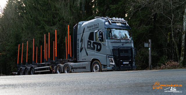 www.bsd-wald.de, www.lkw-fahrer-gesucht.de-36 BSD - Wald & Holz #truckpicsfamily, Longline MAN & Longline VOLVO