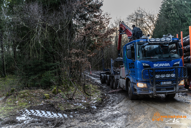 www.bsd-wald.de, www.lkw-fahrer-gesucht.de-39 BSD - Wald & Holz #truckpicsfamily, Longline MAN & Longline VOLVO