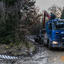 www.bsd-wald.de, www.lkw-fa... - BSD - Wald & Holz #truckpicsfamily, Longline MAN & Longline VOLVO