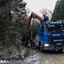 www.bsd-wald.de, www.lkw-fa... - BSD - Wald & Holz #truckpicsfamily, Longline MAN & Longline VOLVO