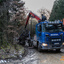 www.bsd-wald.de, www.lkw-fa... - BSD - Wald & Holz #truckpicsfamily, Longline MAN & Longline VOLVO