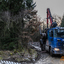 www.bsd-wald.de, www.lkw-fa... - BSD - Wald & Holz #truckpicsfamily, Longline MAN & Longline VOLVO