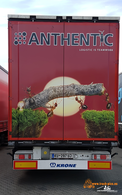 Ads on Trucks, www.lkw-fahrer-gesucht LKW-Werbung, Heckansichten