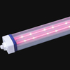 LED Vapor Tight Suppliers