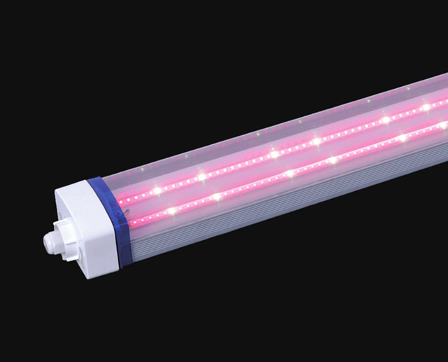 TOPZLED1-6 LED Vapor Tight Suppliers
