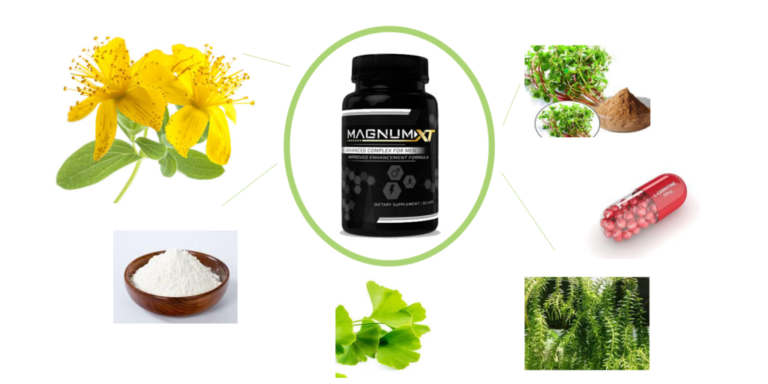 How Does The Magnum XT Work ? Picture Box