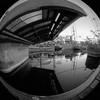 Comox Docks 2021 8 - Black & White and Sepia