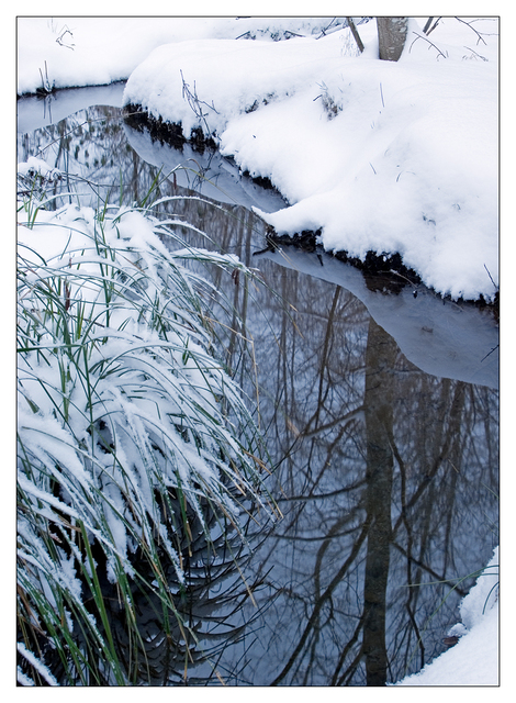 Hawk Glen Winter 2021 2 Landscapes