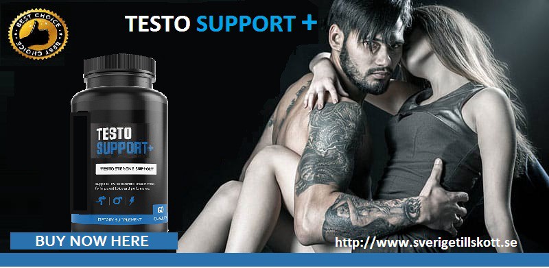 Testo Support Plus Picture Box
