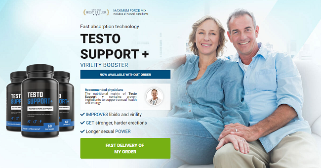 Testo Support Plus Picture Box