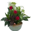 Mothers Day Flowers Ashebor... - Flower Delivery in Asheboro...